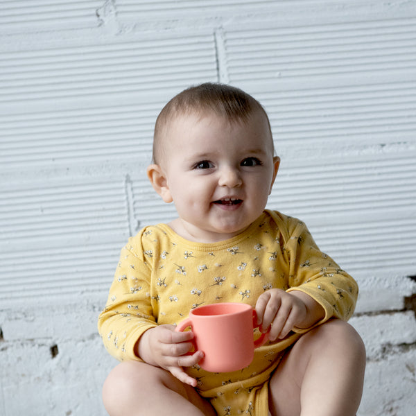 Toddler Sippy Cup - Blush – EKOBO USA