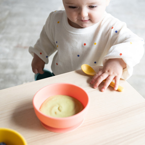  Nutrichef Baby and Toddler, 3 compartment plate, bowl, cup and  spoon feeding set- silicon suction, Non-toxic all natural Bamboo baby food  plate (Star Set) : Baby